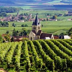 region Bourgogne